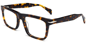 Optically F8382 2